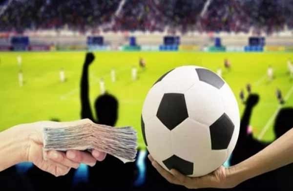 sepak bola professional