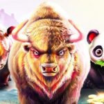 Pragmatic Play – Slot Turnamen
