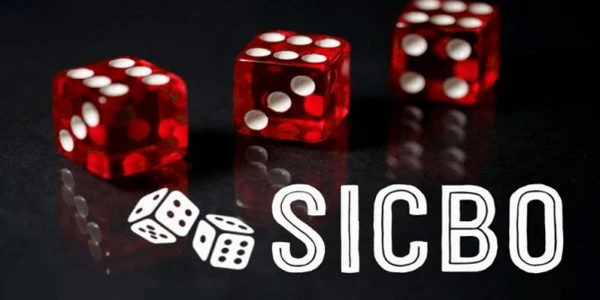 Sicbo Rahasia: Kuasai Cara Melempar Dadu dengan Efisiensi Tertinggi