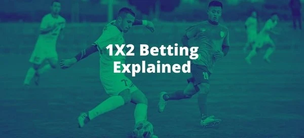 Cara Bertaruh 1x2 Paling Optimal di Euro 2024