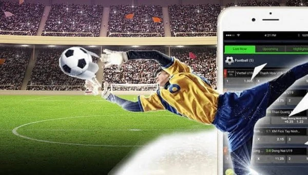 Analisis Perbandingan Taruhan Over Under Euro 2024 vs Piala Dunia